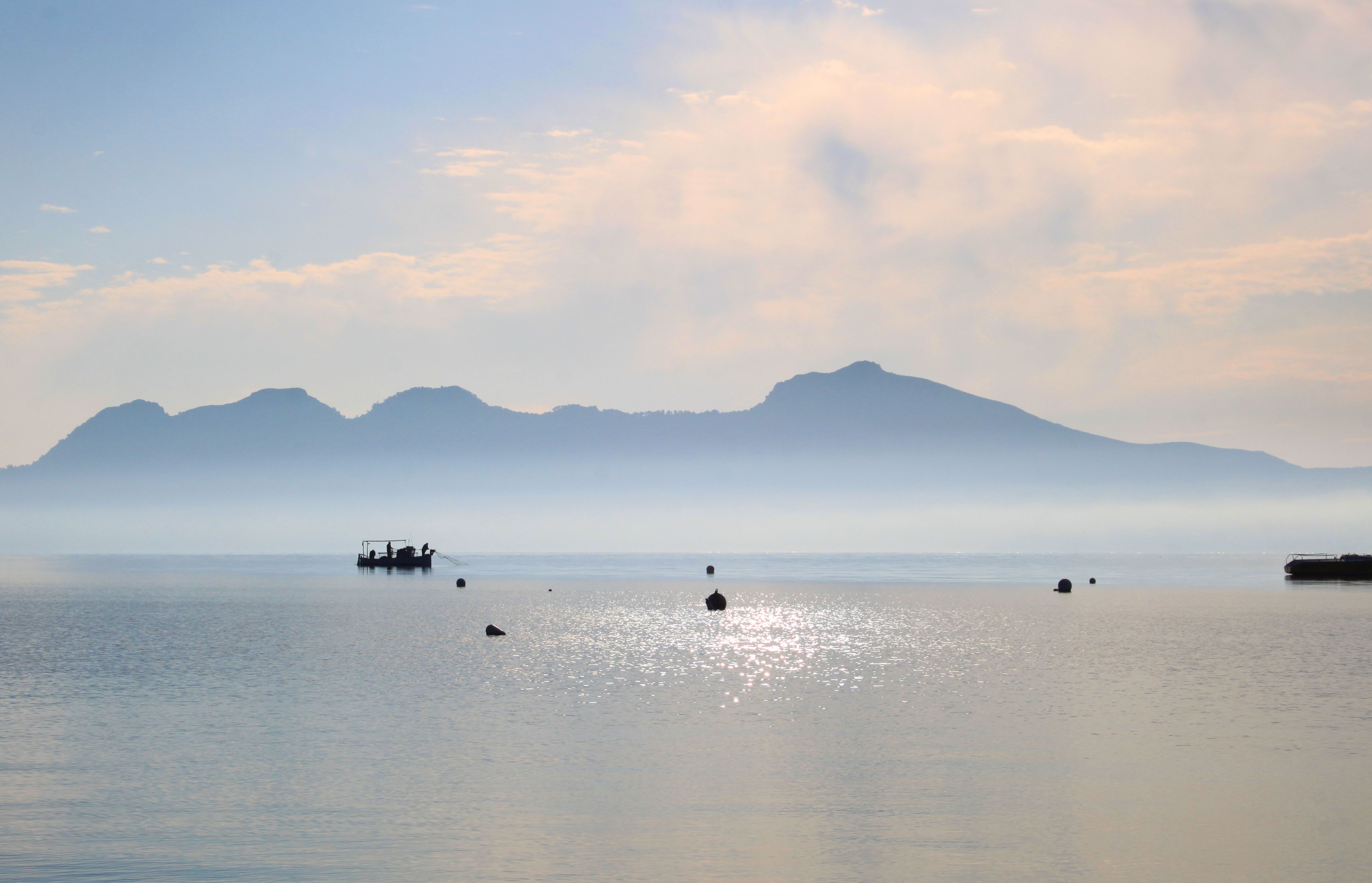 Platja Port de Pollença. Foto: Xesca Serra.