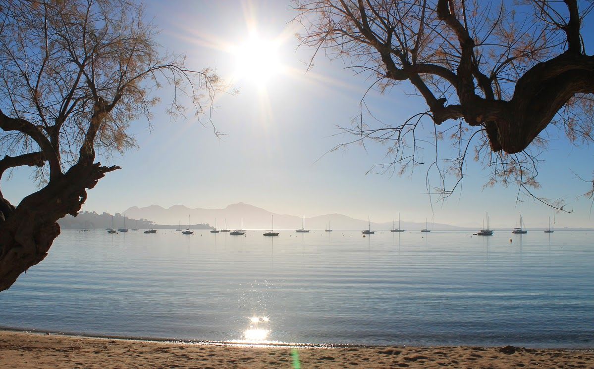 Platja de Tamarells en el Port de Pollença. Foto: Xesca Serra.